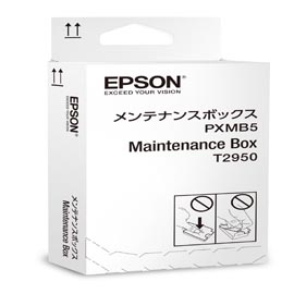 EPSON - KIT DI MANUTENZIONE - T2950 - C13T295000 EPST295000