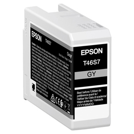 EPSON - CARTUCCIA ULTRACHROME PRO 10 - GRIGIO - C13T46S700 - 25 ML EPST46S700