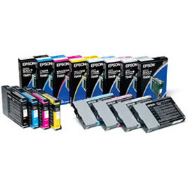 EPSON - TANICA - NERO CHIARO - C13T591900 - 700ML EPST591900