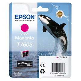 CARTUCCIA INCHIOSTRO A PIGM.MAGENTA T7603 EPST76034N10