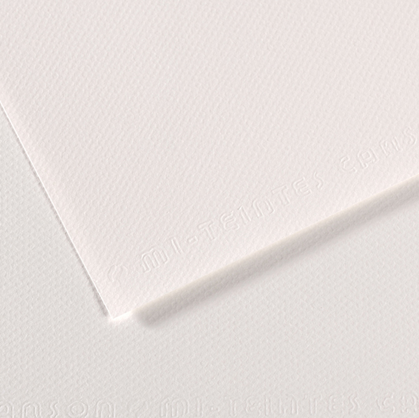 FOGLIO MI-TEINTES - A4 - 160 GR - BIANCO - CANSON 92868