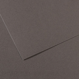 FOGLIO MI-TEINTES - A4 - 160 GR - GRIGIO ARDESIA - CANSON 92886