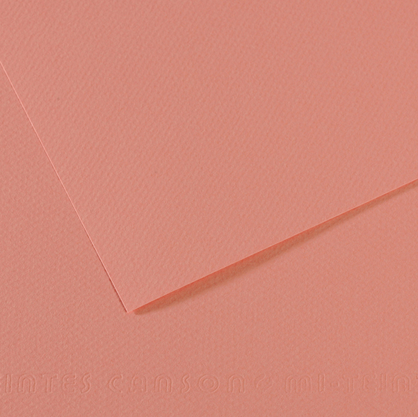 FOGLIO MI-TEINTES - A4 - 160 GR - ROSA SCURO - CANSON 92873