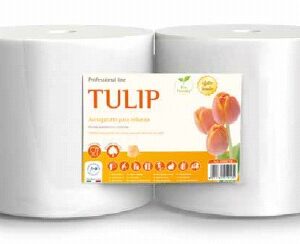 CARTA ASCIUGAMANI IN ROTOLO TULIP18 2PZ. 800 STRAPPI