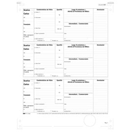 MODULO CONTINUO CARICO-SCARICO RIFIUTI DETENTORI (MOD. A) - 12''X 24 - 250 FOGLI - EDIPRO 55799