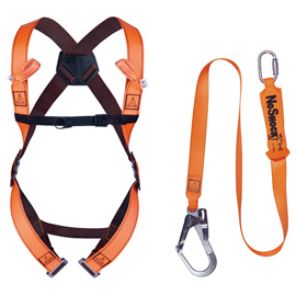 KIT ANTICADUTA DI PRIMO LIVELLO ELARA190V - PER PONTEGGIATORI - TAGLIA S/M/L - DELTAPLUS 101331