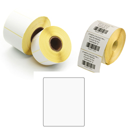 ETICHETTE PER TRASFERIMENTO TERMICO DIRETTO - 50X100 MM - 1 PISTA - PRINTEX - ROTOLO DA 500 PEZZI 87081