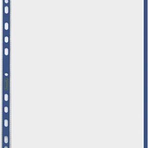 10 BUSTE FORATE 21x29.7cm C-BANDA COLORE AZZURRO 01-0165 47357