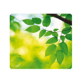 MOUSE PAD ECOLOGICO EARTH SERIES FELLOWES 72218