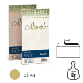 CALLIGRAPHY BUSTA 11X22 NATURE OLIVA 120GR 25PZ. 79786