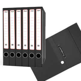 GRUPPO REGISTRATORI SESTETTO - CON 6 CARTELLE AD ANELLI - 25,5X34,5 CM - DORSO 23 CM - GRIGIO - REXEL 79876