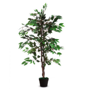 PIANTA ORNAMENTALE - FICUS - H120CM - PAPERFLOW 89863
