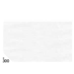 CARTA VELINA -  50X70CM - 31GR - BIANCO 300 - REX SADOCH - BUSTA 26 PEZZI 67651