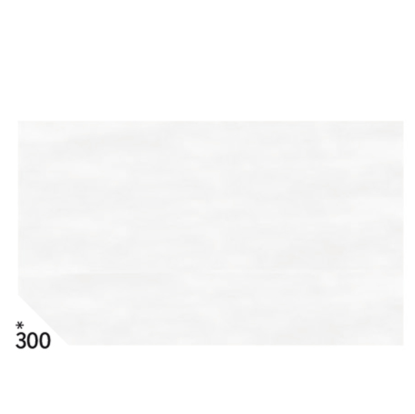 CARTA VELINA -  50X70CM - 31GR - BIANCO 300 - REX SADOCH - BUSTA 26 PEZZI 67651