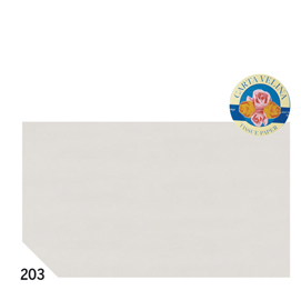 CARTA VELINA -  50X70CM - 31GR - GRIGIO 203 - REX SADOCH - BUSTA 26 FOGLI 67635