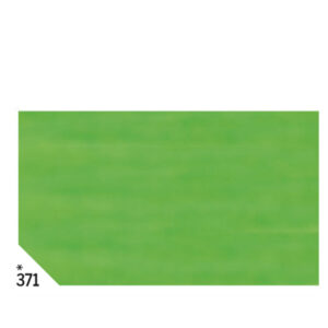 CARTA VELINA -  50X70CM - 31GR - VERDE CHIARO 371 - REX SADOCH - BUSTA 26 FOGLI 67638
