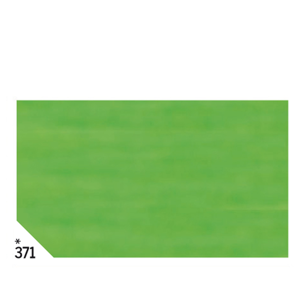 CARTA VELINA -  50X70CM - 31GR - VERDE CHIARO 371 - REX SADOCH - BUSTA 26 FOGLI 67638