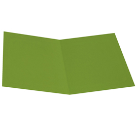 CARTELLINA SEMPLICE - 200 GR - CARTONCINO BRISTOL - VERDE NILO - STARLINE - CONF. 50 PEZZI STL6130