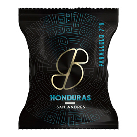 CAPSULA CAFFE' - HONDURAS - ESSSE CAFFE' 97413