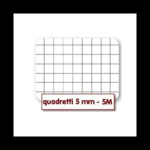 QUADERNO A4 MAXI  RIG.5M GR.80 BLASETTI 103318