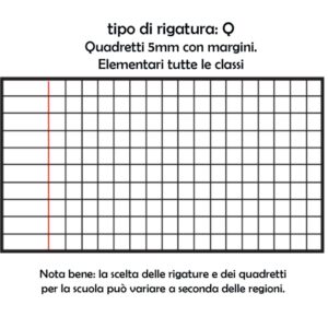 QUADERNO A4 MAXI  RIG.Q GR.80 BLASETTI 103321