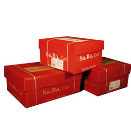 CARTA IN MODULO CONTINUO - 24 X 11 '' - 70 GR - PISTE STACCABILI - BIANCO - SABACART - CONF. 2000 FOGLI 64655