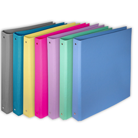 RACCOGLITORE KINGBRIGHT - 4R - 30 MM - 22 X 30 CM - RIVESTITO IN PPL - COLORI ASSORTITI - STARLINE STL7040