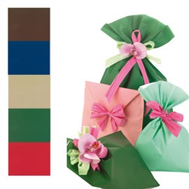 BUSTA REGALO MAT PEARLY A - 25 X 40 CM - 40 MICRON - PPL - ASSORTIMENTO 5 COLORI CLASSICI - PNP - CONF. 100 PEZZI 70935