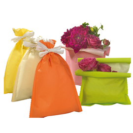 BUSTA REGALO SPRING - 20 X 32 CM - 45 GR - CARTA - 5 COLORI ASSORTITI - PNP - CONF. 50 PEZZI 99306