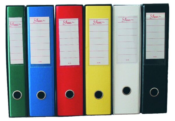 REGISTRATORE YOUR FILE PLUS D.5 VERDE