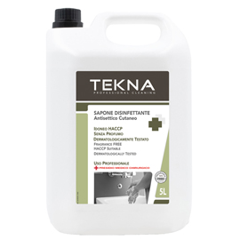 SAPONE DISINFETTANTE - SENZA PROFUMO - 5 LT -TEKNA 95913